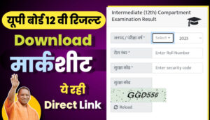 Up Baord 12th result